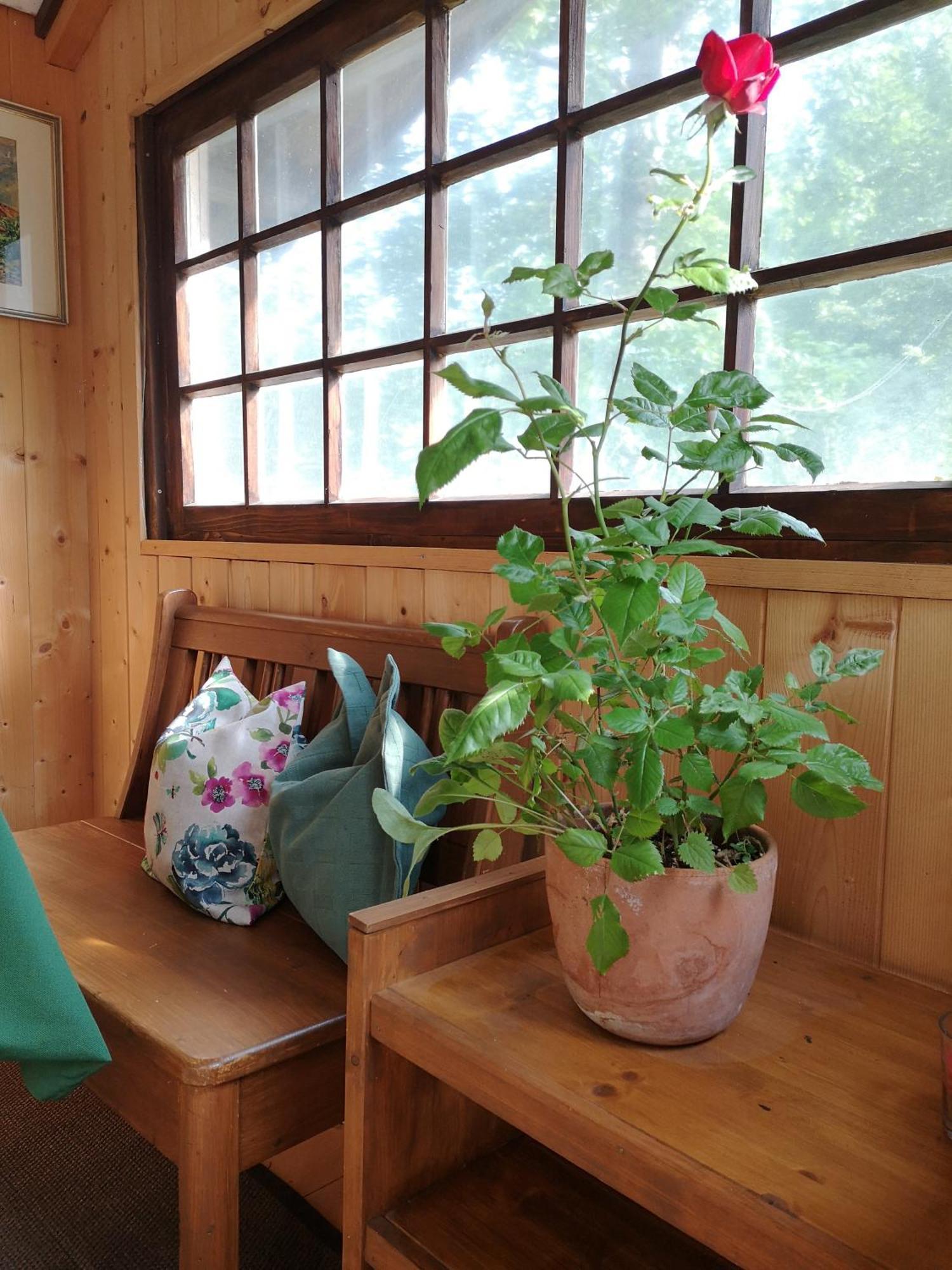 Ferienwohnung Schmidt - Natur und Ruhe Schwaigen Zimmer foto